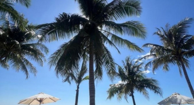 Sea Sense Resort Phu Quoc: Where to Enjoy a Beach Island Paradise